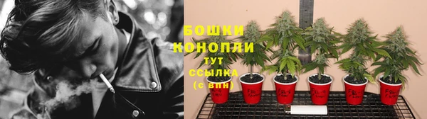 хмурый Бородино