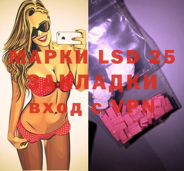 хмурый Бородино