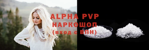 хмурый Бородино