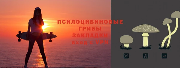 хмурый Бородино