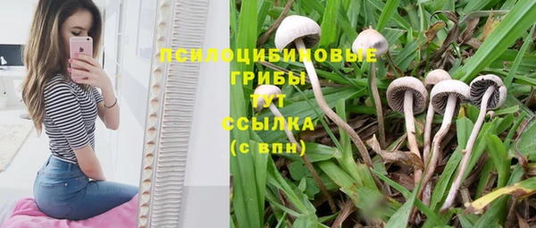 2c-b Бронницы