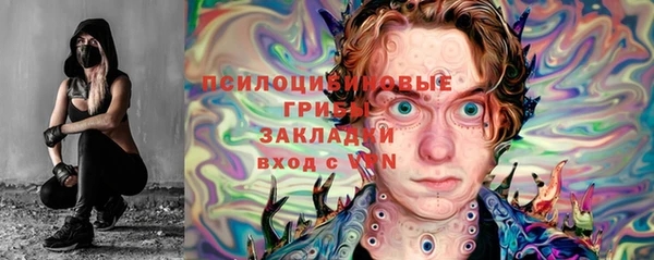 шишки Бугульма