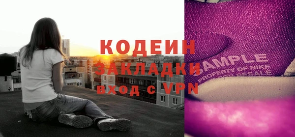 хмурый Бородино