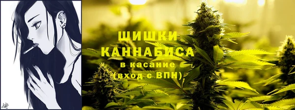 хмурый Бородино