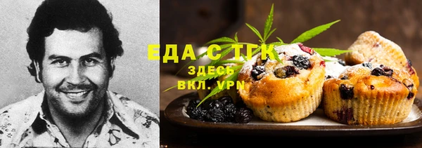 хмурый Бородино