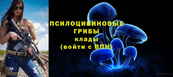 2c-b Бронницы